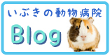 いぶきの動物病院スタッフブログ