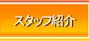 スタッフ紹介