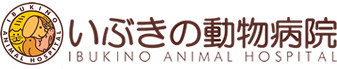 いぶきの動物病院