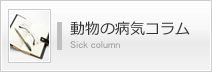 動物の病気コラム