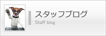 スタッフブログ