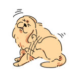 耳をかく犬のイラスト