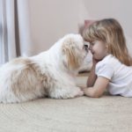 犬と鼻をつけあう少女