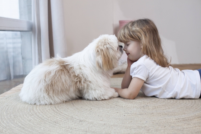 犬と鼻をつけあう少女