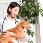 犬を抱える獣医師